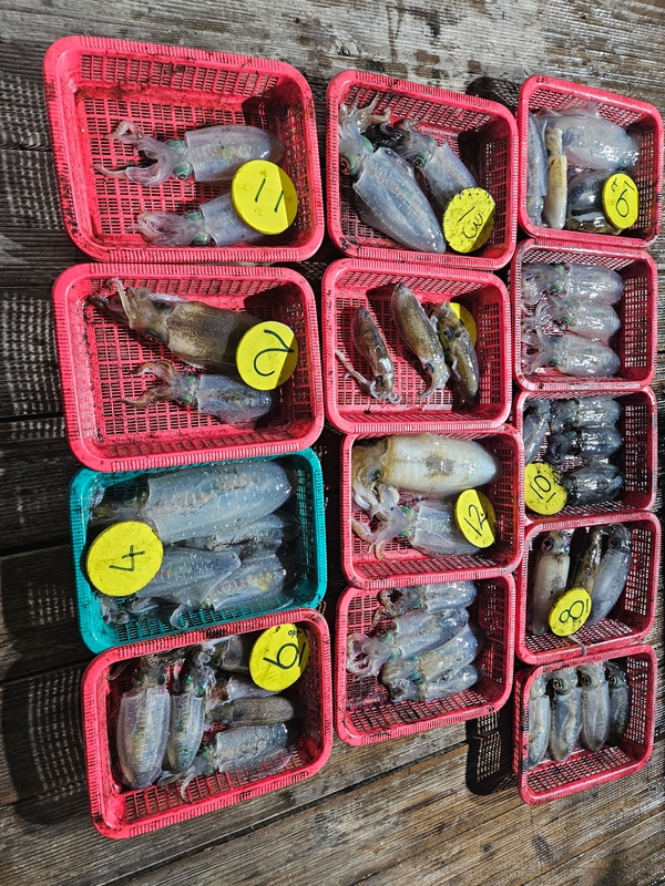 거제아지트호의 조황일지 이미지 - 8