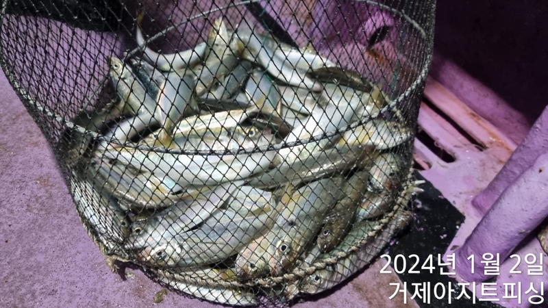 거제아지트호의 조황일지 이미지 - 6