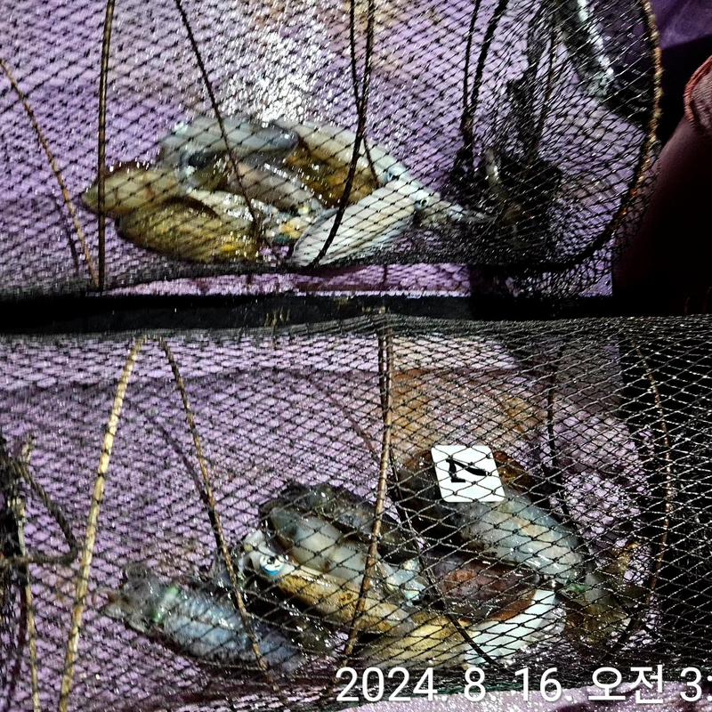 거제아지트호의 조황일지 이미지 - 2