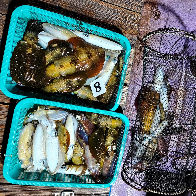 거제아지트호의 조황일지 이미지 - 1