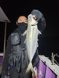 대전갱이 대짜들이 슬슬 움직이기 시작하네요 선상낚시로 잡은 물고기 조황