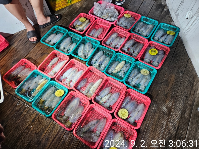 거제아지트호의 조황일지 이미지 - 3