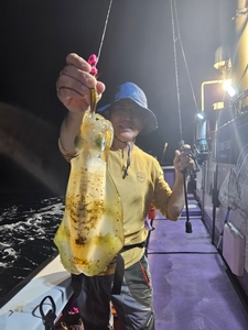 9월10일 무늬오징어 75수 선상낚시로 잡은 물고기 조황