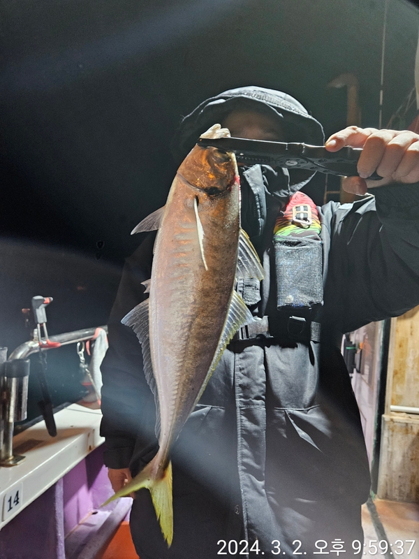 거제아지트호의 조황일지 이미지 - 4