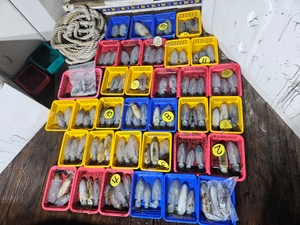 9윌7일 무늬오징어 세자리수 조황 선상낚시로 잡은 물고기 조황