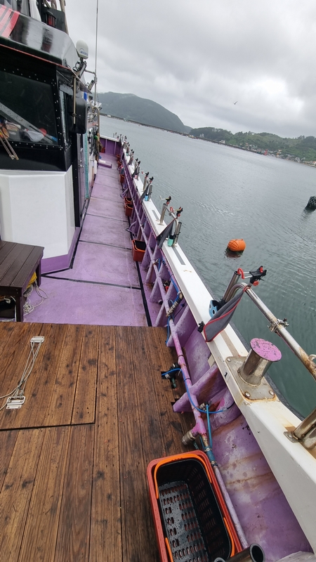 해당 선사를 대표하는 이미지