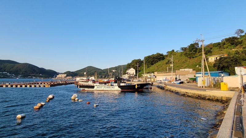 해당 선사를 대표하는 이미지