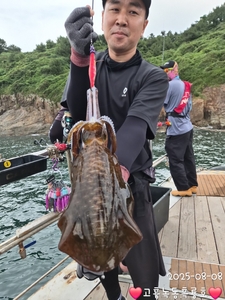 8/8 고흥녹동흑룡호 무늬오징어 조황  선상낚시로 잡은 물고기 조황