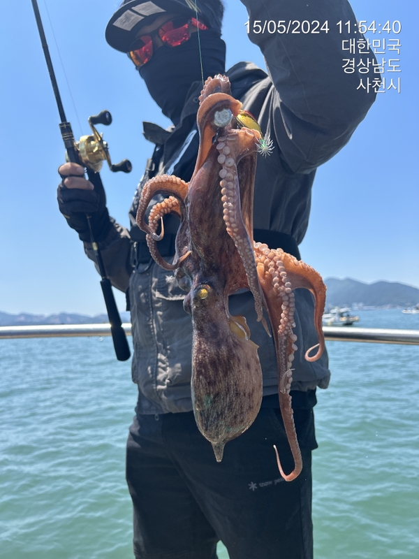 힐링호의 조황일지 이미지 - 5