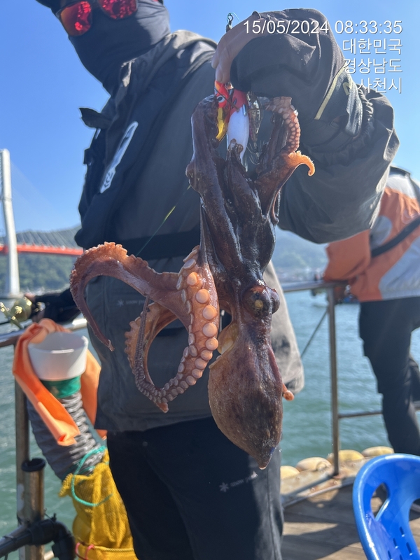 힐링호의 조황일지 이미지 - 9