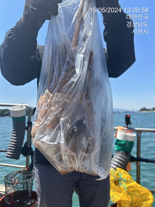 힐링호의 조황일지 이미지 - 4