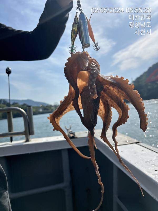 힐링호의 조황일지 이미지 - 15