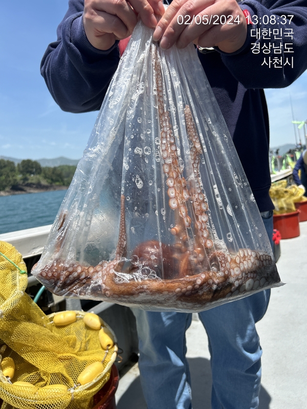 힐링호의 조황일지 이미지 - 1