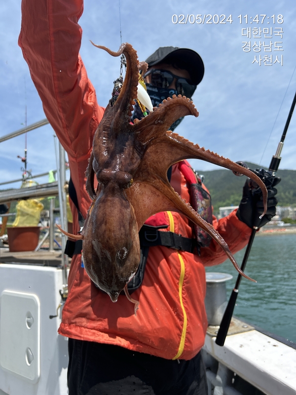 힐링호의 조황일지 이미지 - 8