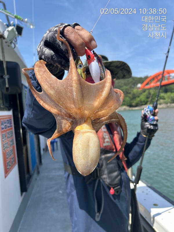 힐링호의 조황일지 이미지 - 14