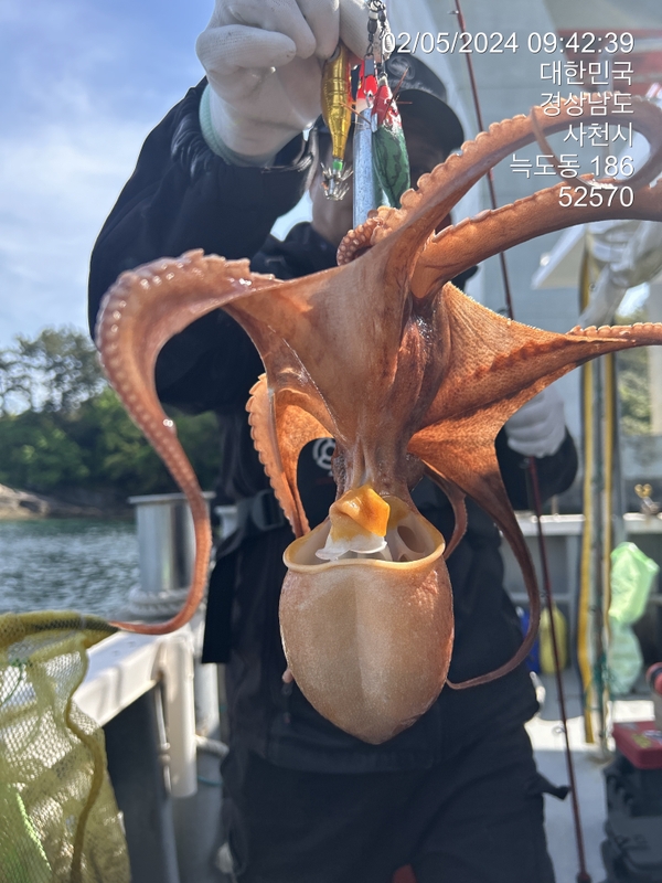 힐링호의 조황일지 이미지 - 12