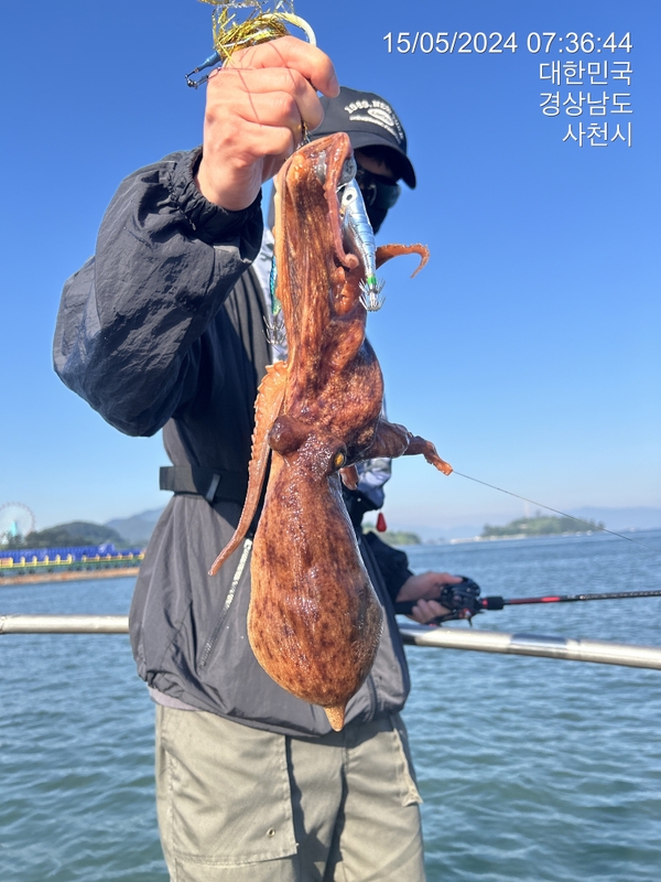 힐링호의 조황일지 이미지 - 13