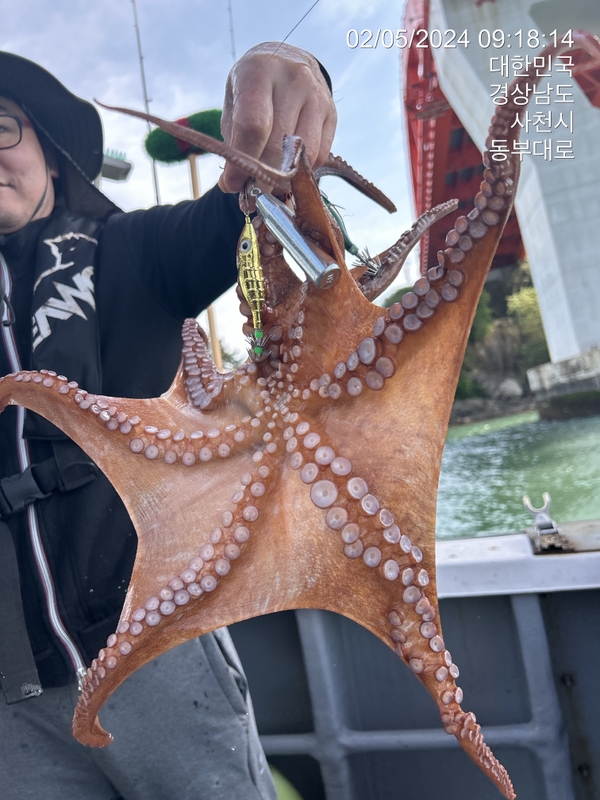 힐링호의 조황일지 이미지 - 17