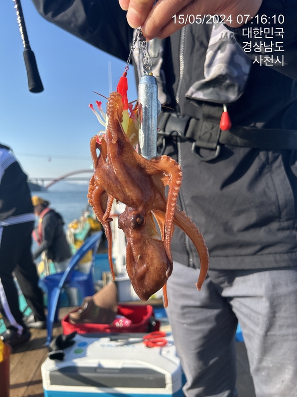 힐링호의 조황일지 이미지 - 12