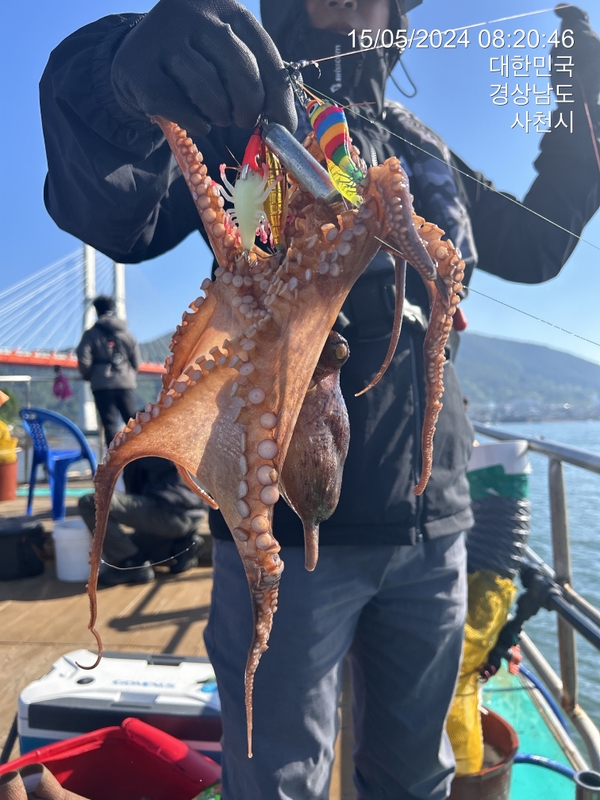 힐링호의 조황일지 이미지 - 11