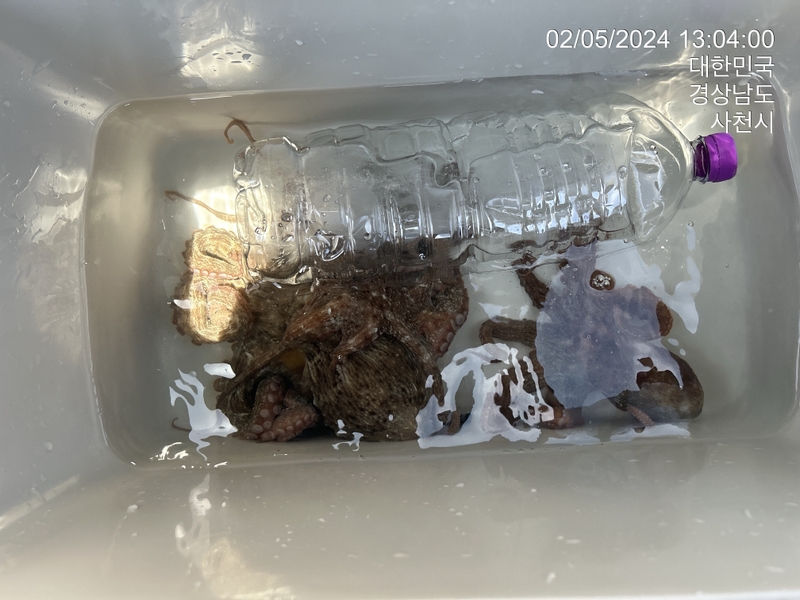 힐링호의 조황일지 이미지 - 4