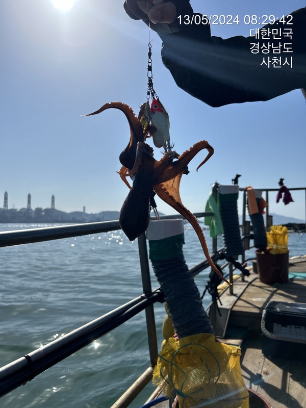 힐링호의 조황일지 이미지 - 3