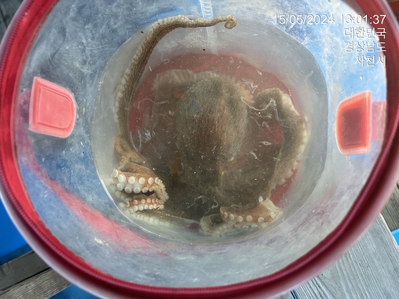 힐링호의 조황일지 이미지 - 2