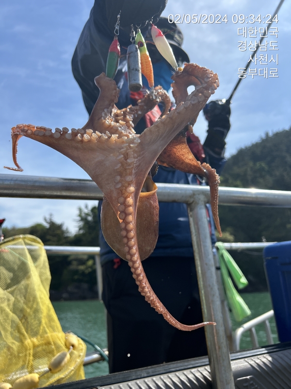 힐링호의 조황일지 이미지 - 13