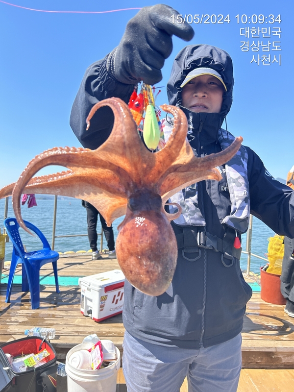 힐링호의 조황일지 이미지 - 10