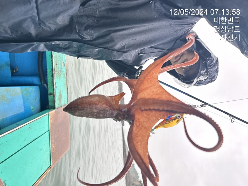 힐링호의 조황일지 이미지 - 6