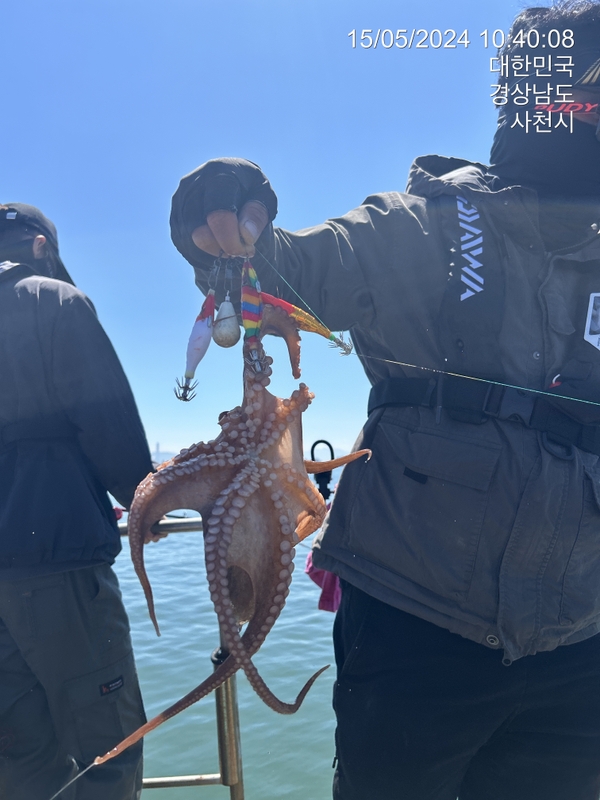 힐링호의 조황일지 이미지 - 6