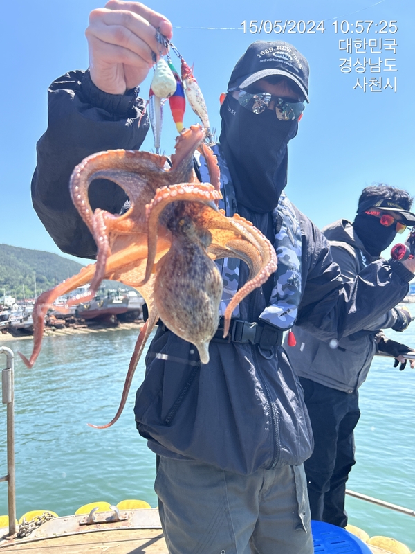 힐링호의 조황일지 이미지 - 7