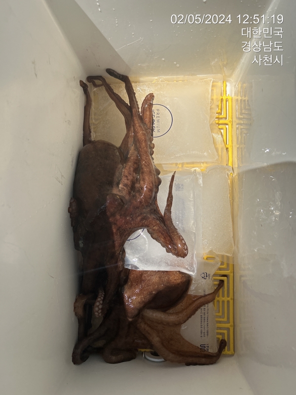 힐링호의 조황일지 이미지 - 3