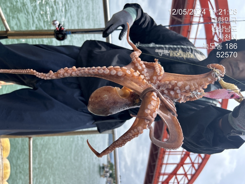 힐링호의 조황일지 이미지 - 5