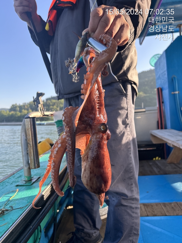 힐링호의 조황일지 이미지 - 14