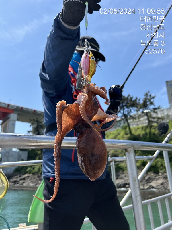 힐링호의 조황일지 이미지 - 10