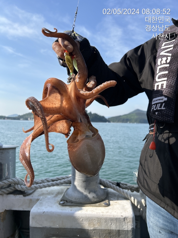 힐링호의 조황일지 이미지 - 18