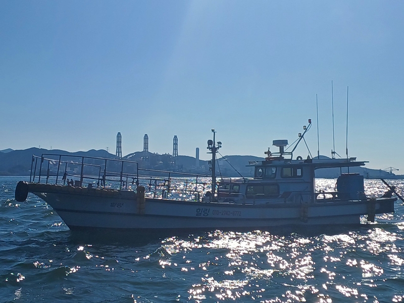 해당 선사를 대표하는 이미지