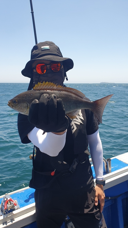 제주 부영호의 조황일지 이미지 - 8