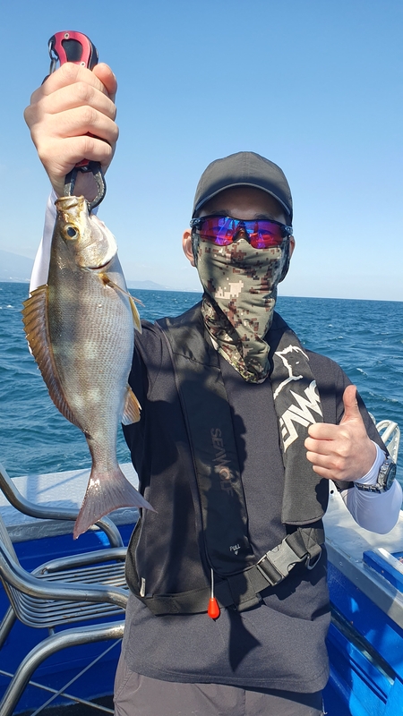 제주 부영호의 조황일지 이미지 - 4