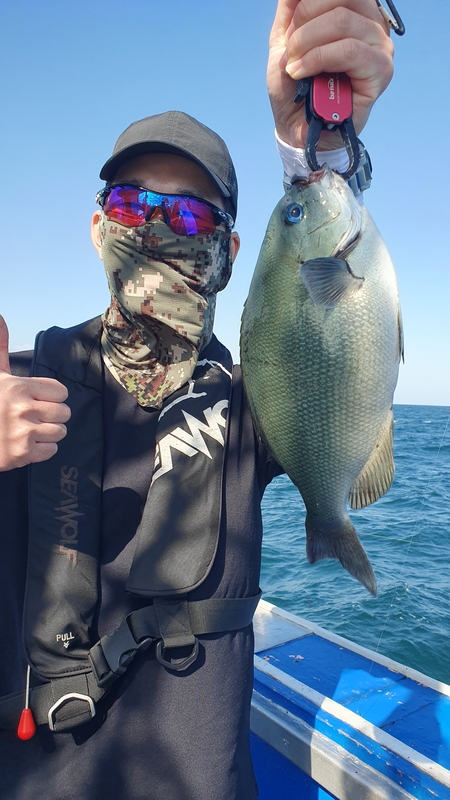 제주 부영호의 조황일지 이미지 - 2