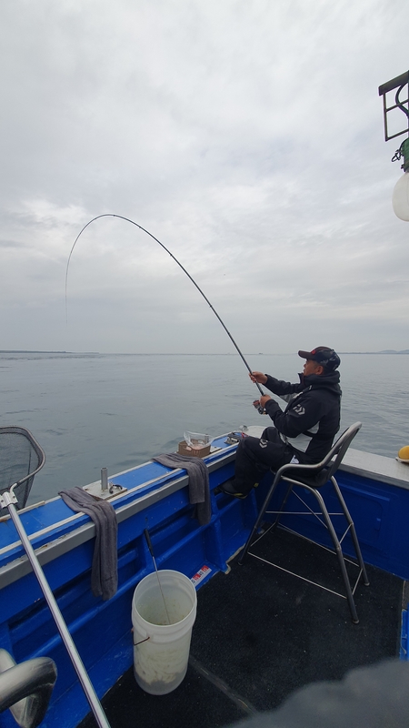 제주 부영호의 조황일지 이미지 - 0