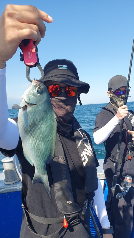 제주 부영호의 조황일지 이미지 - 7