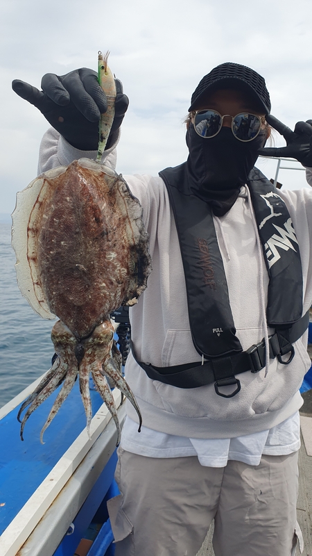 제주 부영호의 조황일지 이미지 - 0