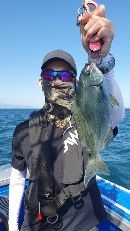 제주 부영호의 조황일지 이미지 - 6