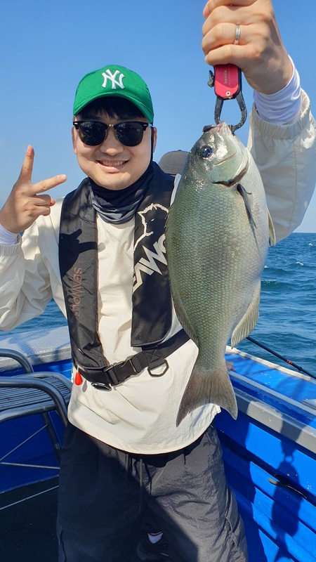 제주 부영호의 조황일지 이미지 - 5