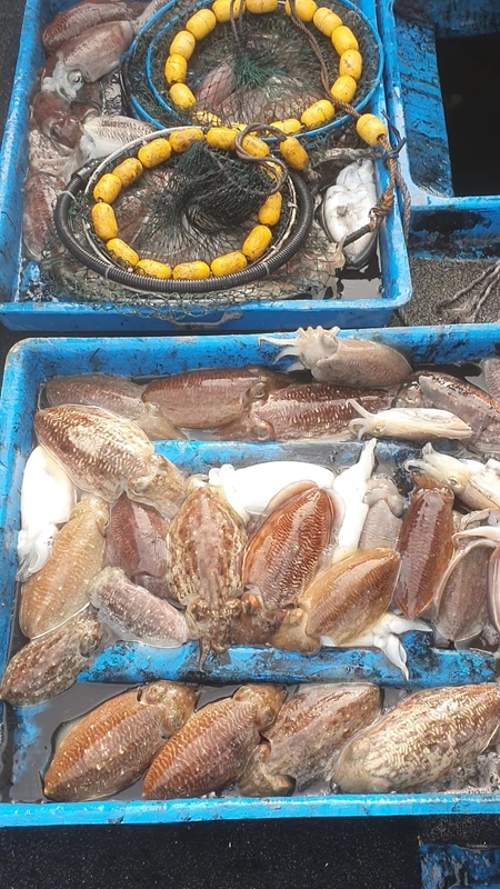 해당 선사를 대표하는 이미지