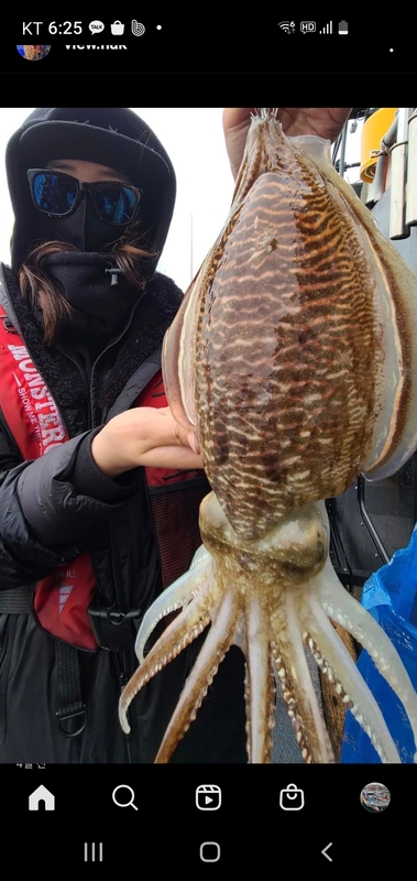 해당 선사를 대표하는 이미지