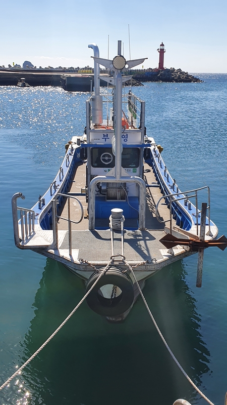 해당 선사를 대표하는 이미지