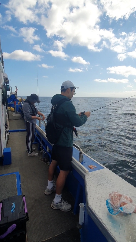 해당 선사를 대표하는 이미지